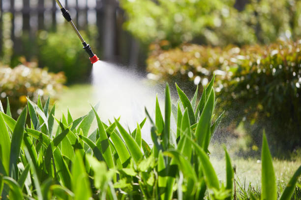 Tamper-Resistant Bait Stations for Rodents in Ottawa